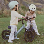 Load image into Gallery viewer, Trail Bike - Silver Sage