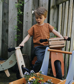 Load image into Gallery viewer, Kinderfeets Tiny Tot Plus tricycle balance bike wooden training bike running bike no pedals toddler children kids birch wood silver sage
