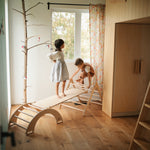 Load image into Gallery viewer, Ultimate Pikler Playground - Kinderfeets NZ