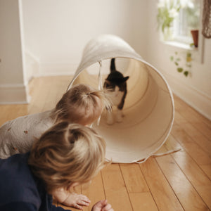 Pikler Play Tunnel