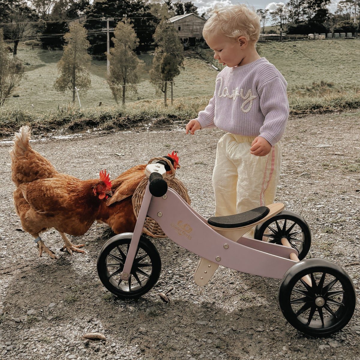 TINY TOT Trike/Balance Bike - Lavender