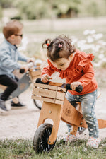 Load image into Gallery viewer, Kinderfeets Tiny Tot Plus tricycle balance bike wooden training bike running bike no pedals toddler children kids bamboo wooden crate
